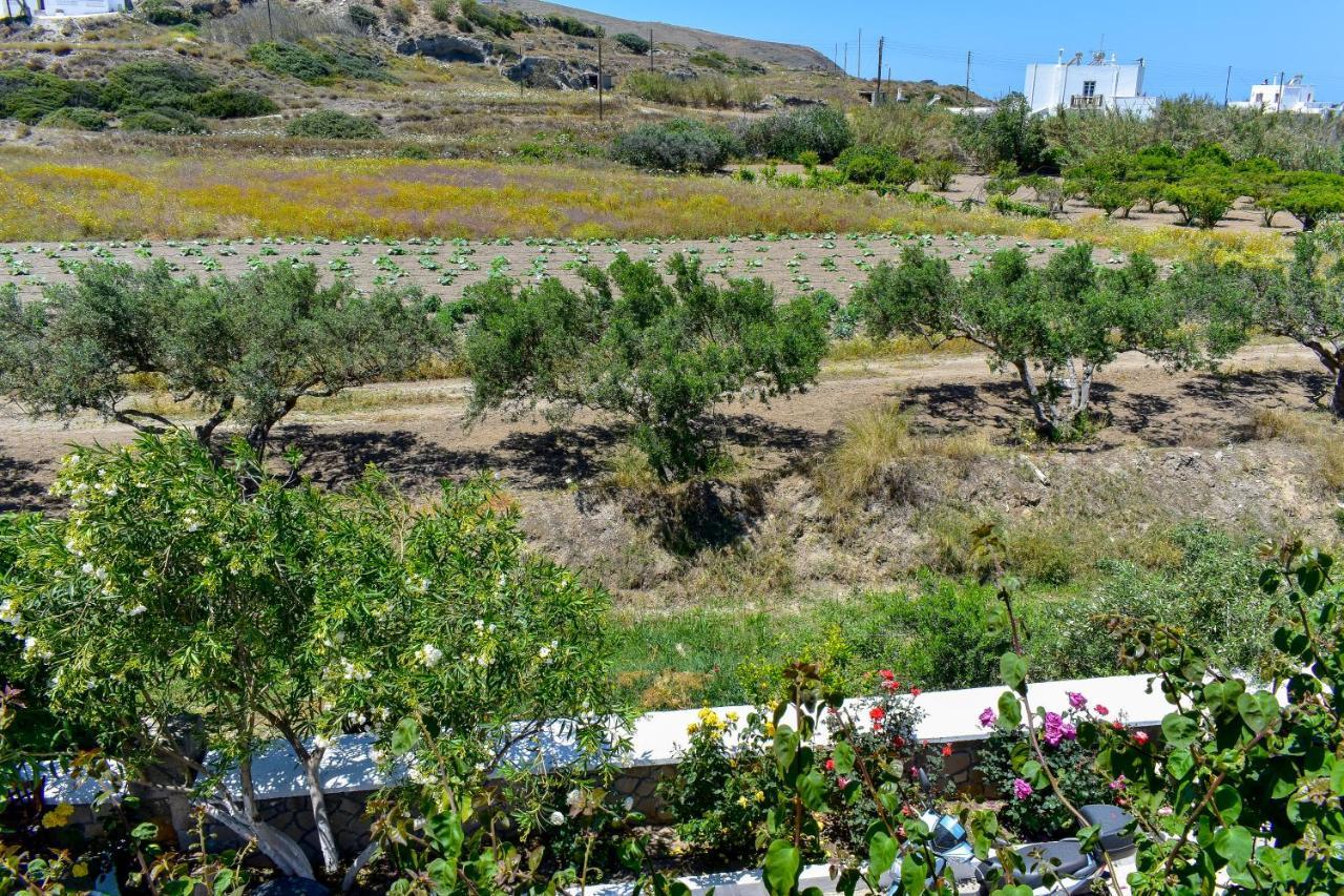 فندق Pergola بولونيا المظهر الخارجي الصورة